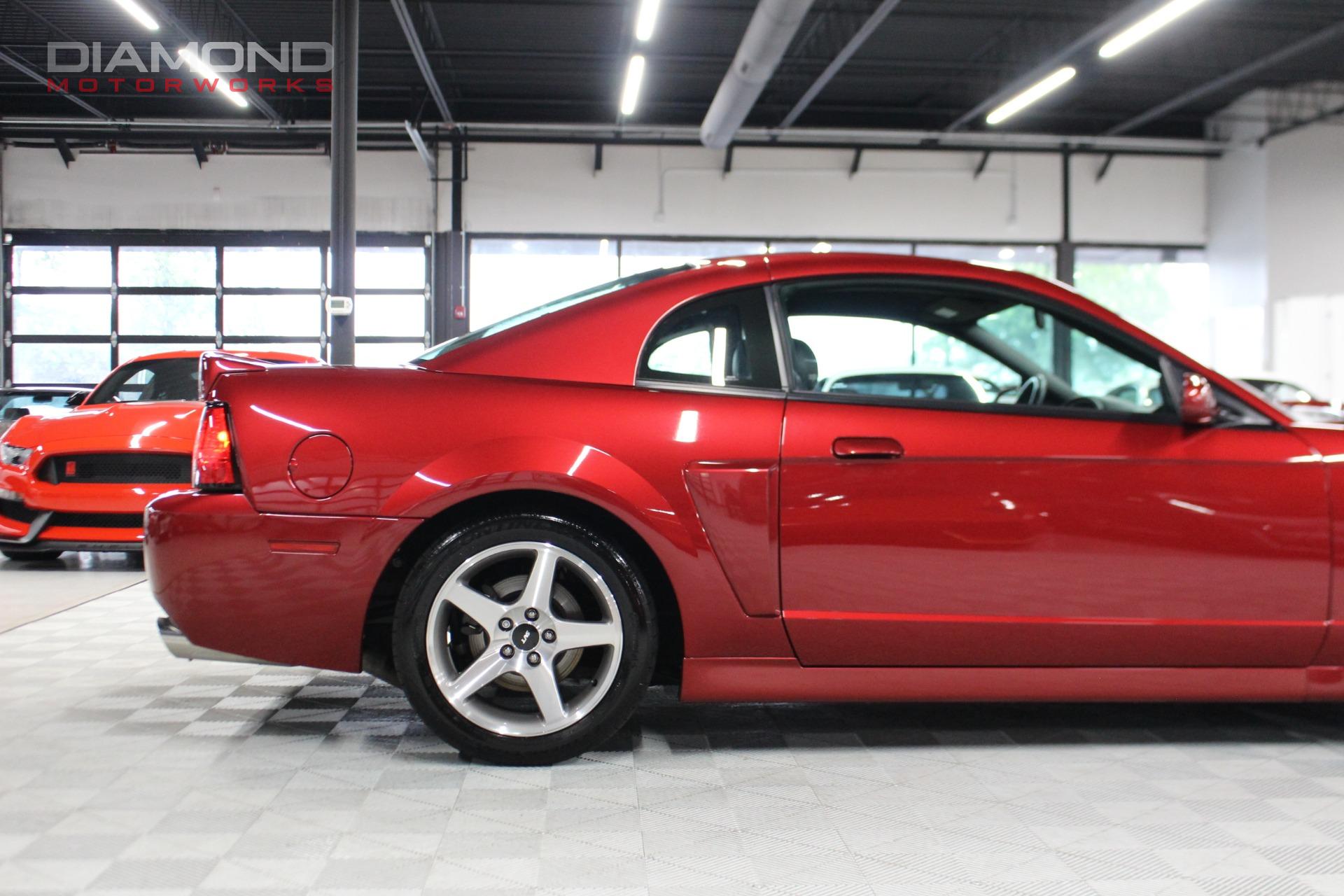 Marco De Matrícula Terminator Cobra SVT En Fibra De Carbono Con Detalles Rojos – Elegante Y Deportivo