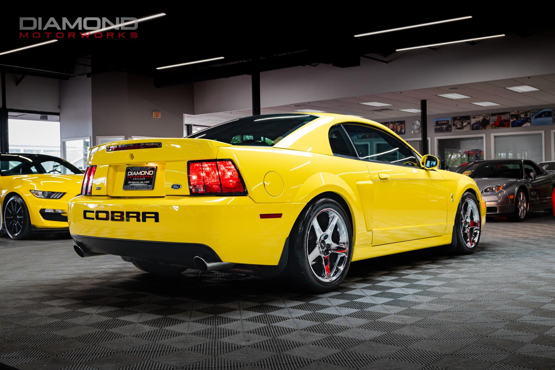 Used-2003-Ford-Mustang-SVT-Cobra-Terminator